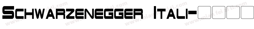 Schwarzenegger Itali字体转换